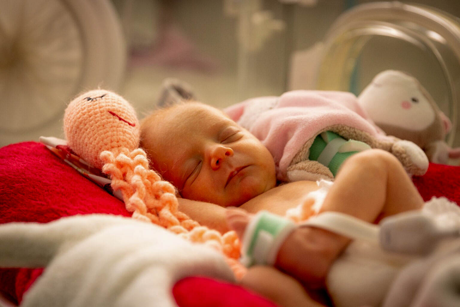 Baby with octopus comforter in neonatal intensive care unit